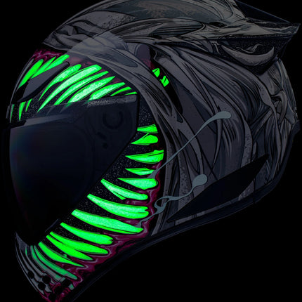 ICON Domain™ Helmet - Grand Maw