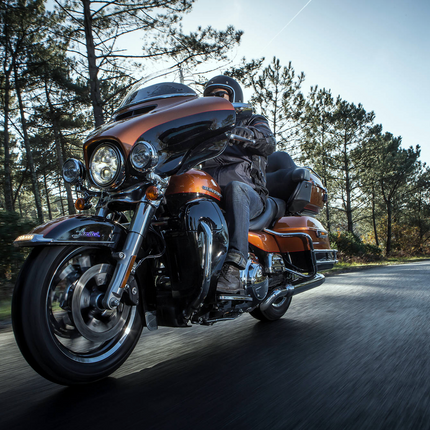Michelin Scorcher 31 Tires