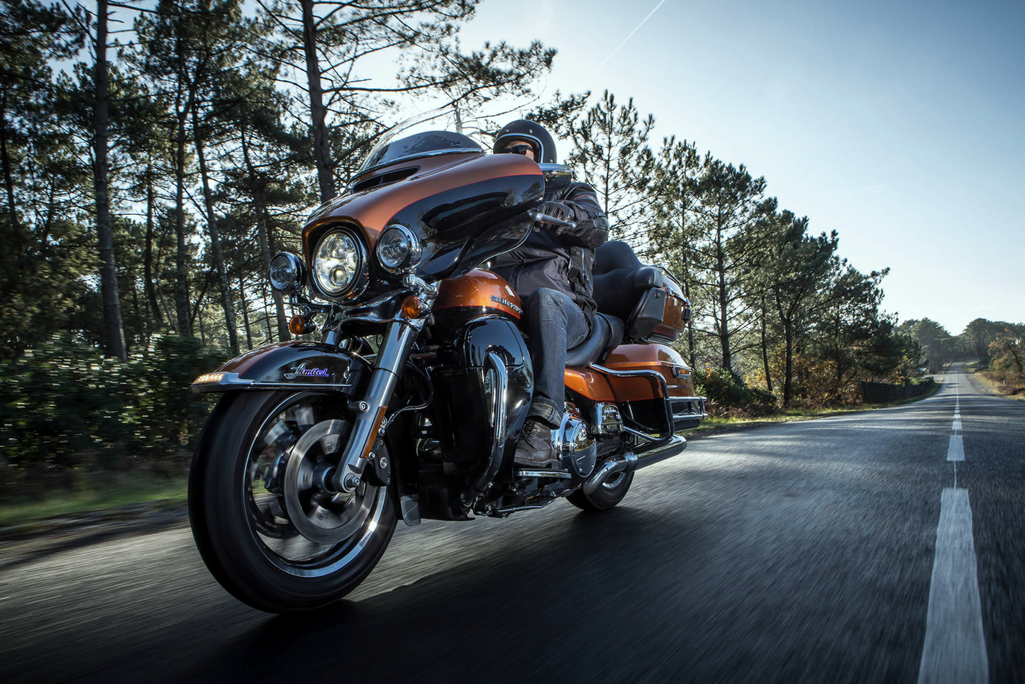 Michelin Scorcher 31 Tires