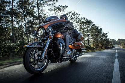 Michelin Scorcher 31 Tires