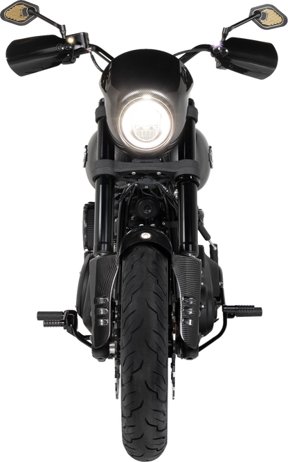 Dunlop AE2 Tires