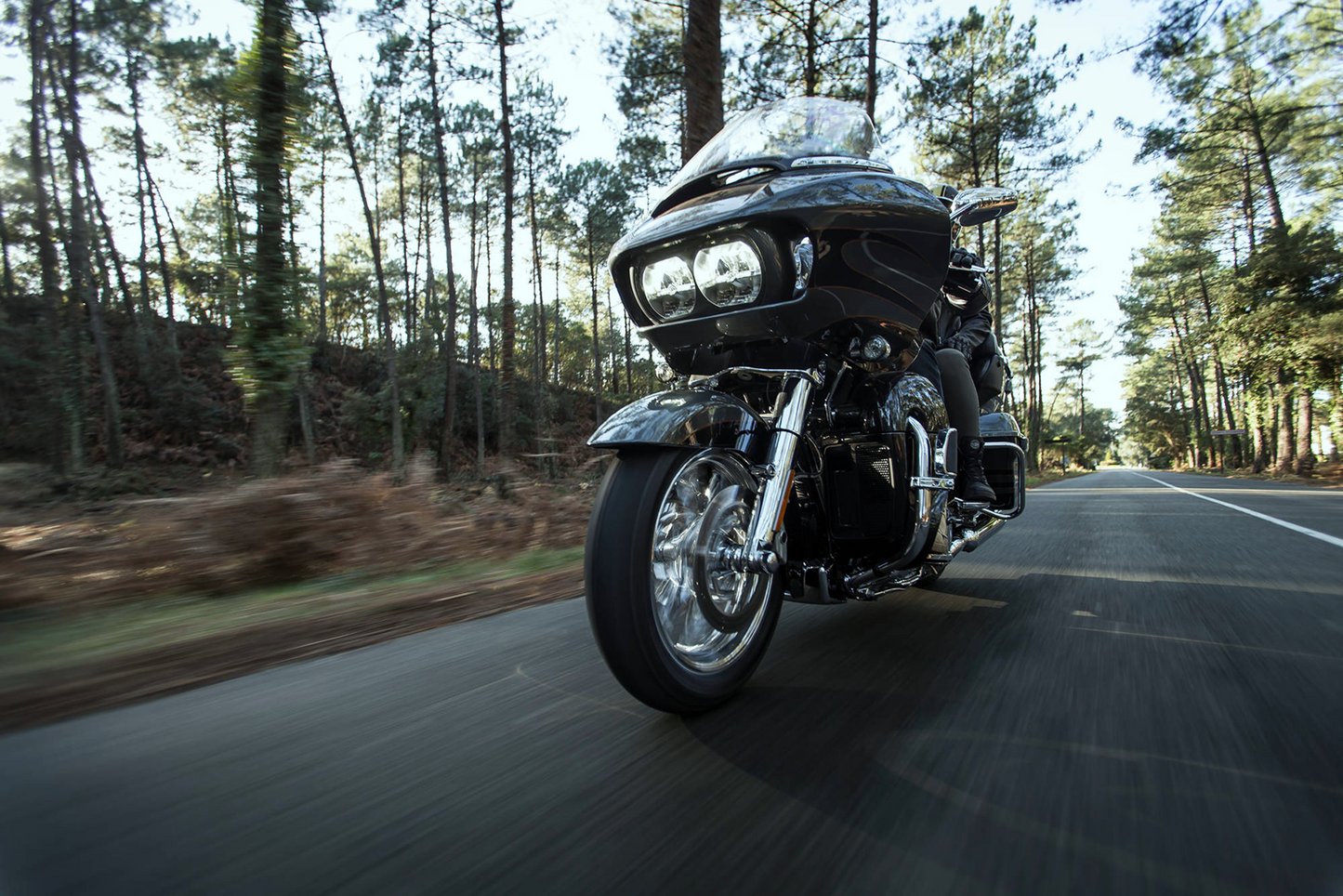 Michelin Scorcher 31 Tires